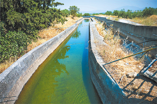 Advertorial  Accenture Banking Consumer Study 2025